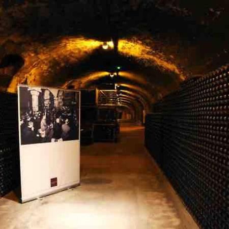 Apppartement Des Sacres De Reims Apartment Bagian luar foto