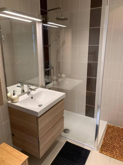 Apppartement Des Sacres De Reims Apartment Bagian luar foto