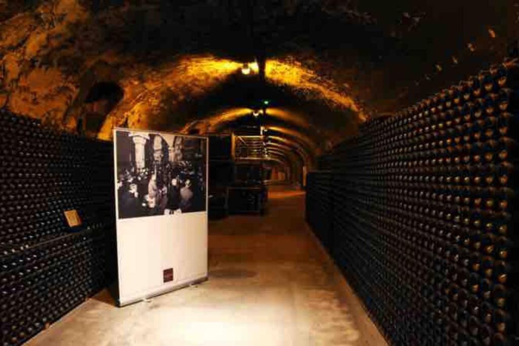 Apppartement Des Sacres De Reims Apartment Bagian luar foto